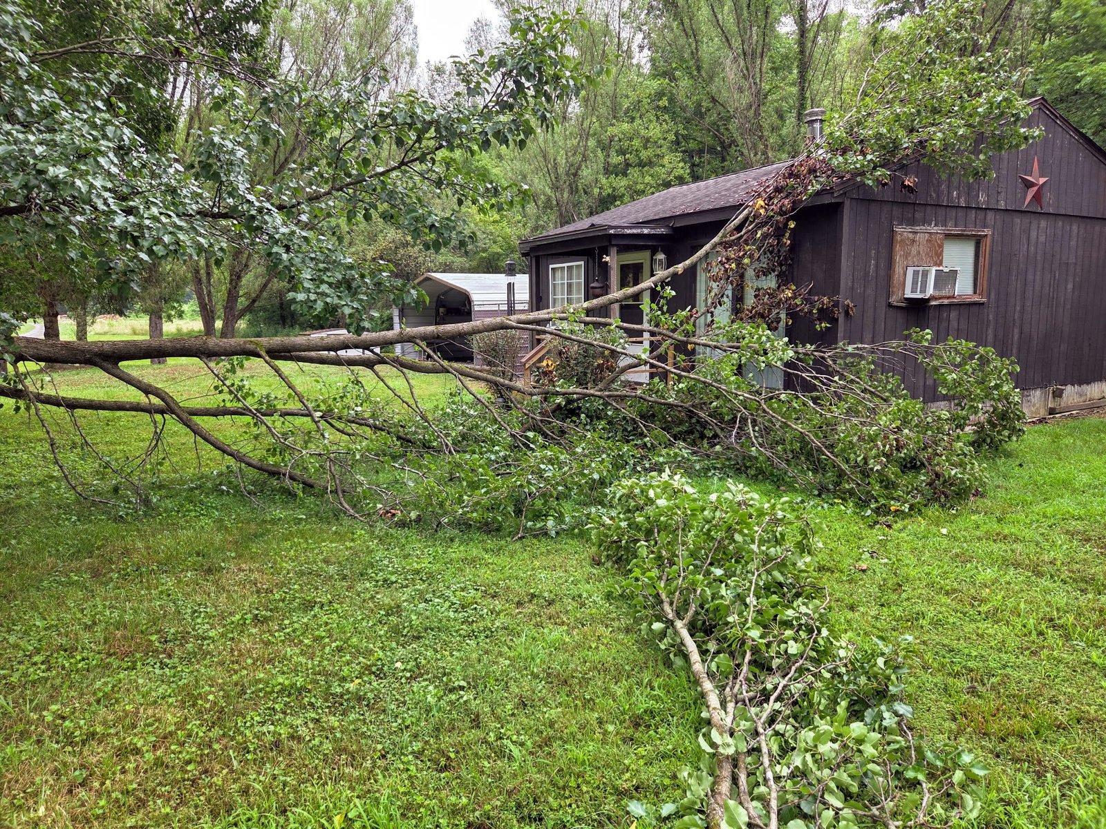 A storm damaged tree laying a customers house.
