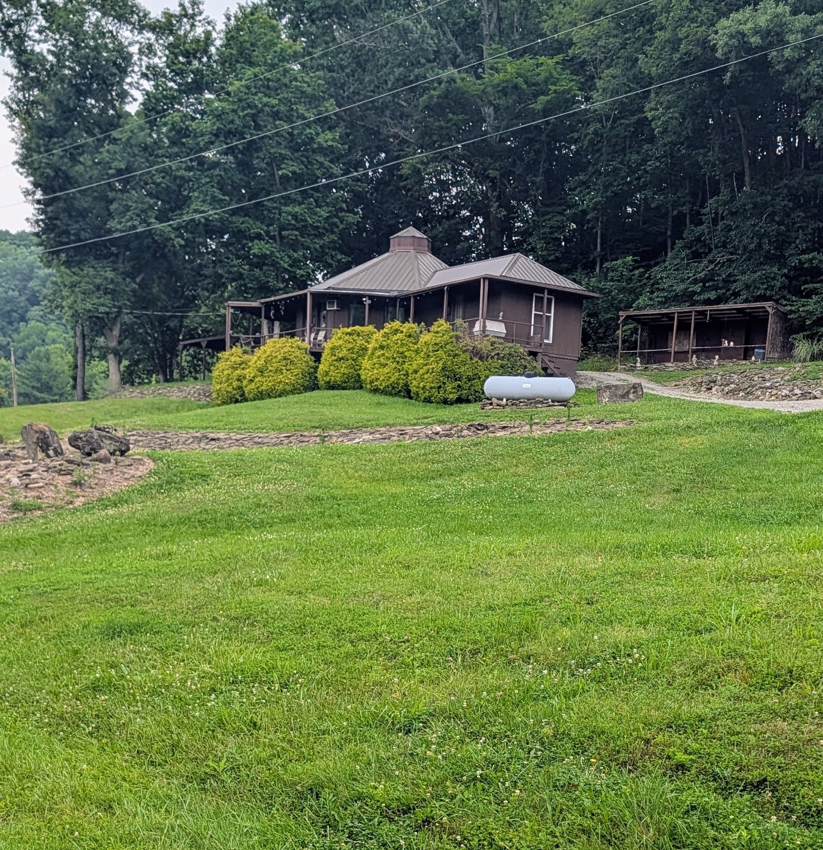 Maintained residential yard with trimmed shrubs and a cleared lawn after property clean-up.
